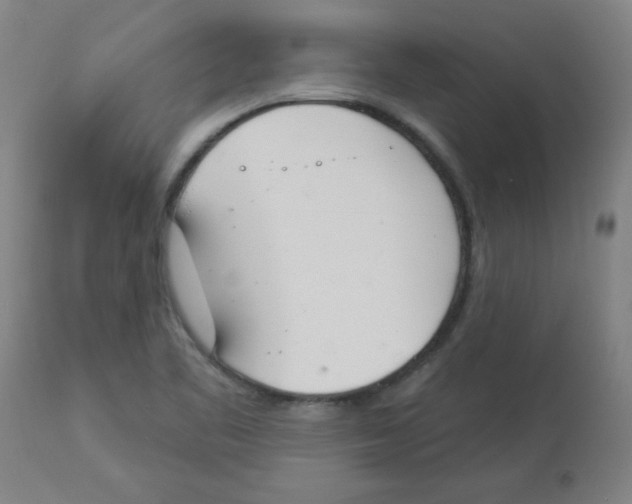 X0000112841461200909181701