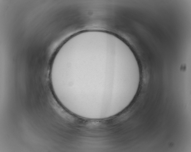 X0000112841462200909181701