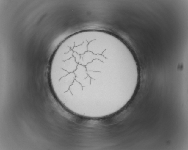 X0000112841463200909181701