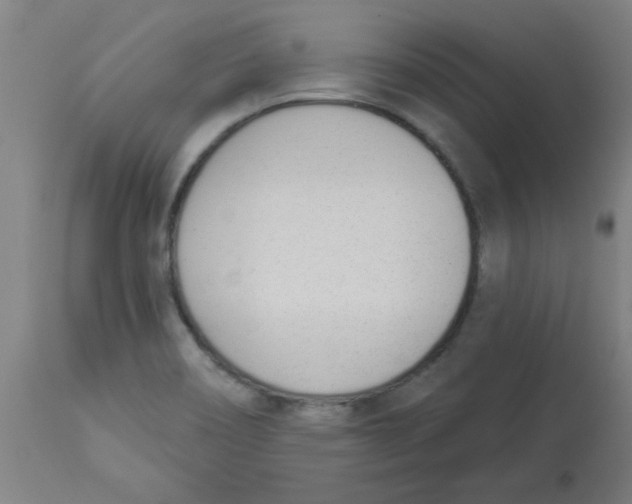 X0000112841466200909181701