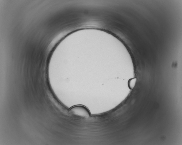 X0000112841469200909181701