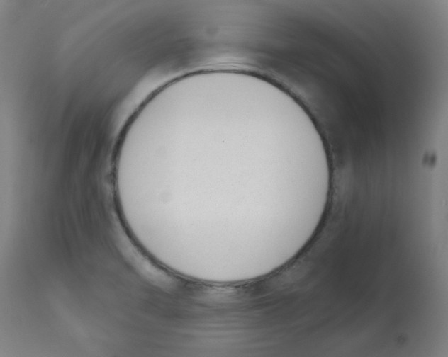 X0000112841470200909181701