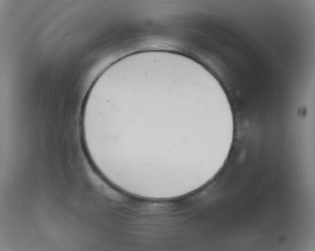 X0000112841471200909181701