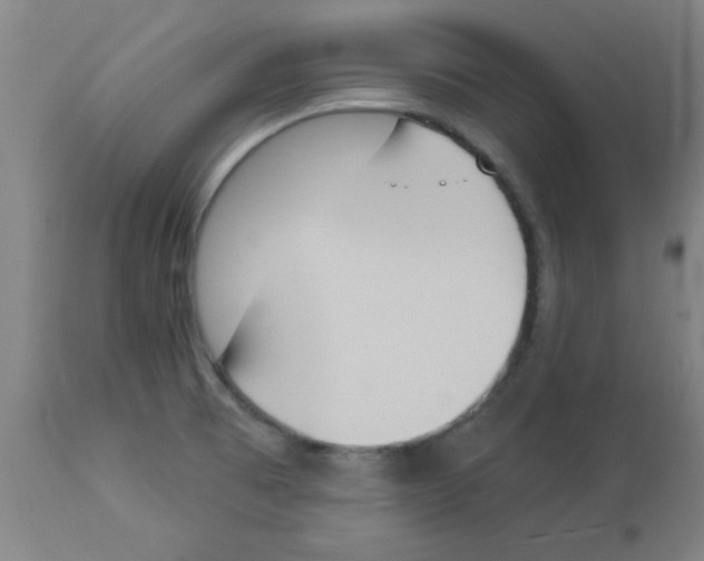 X0000112841473200909181701