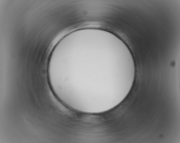 X0000112841475200909181701