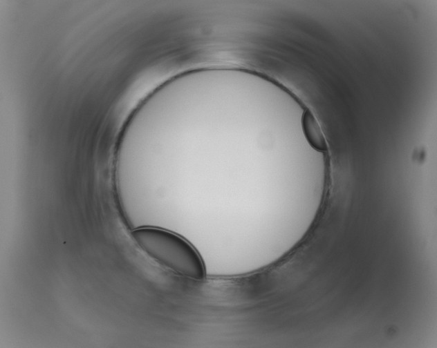 X0000112841477200909181701