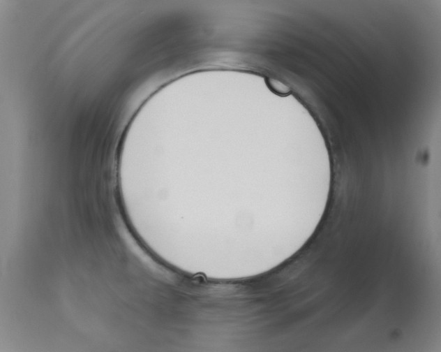 X0000112841479200909181701