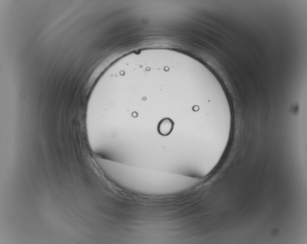 X0000112841481200909181701