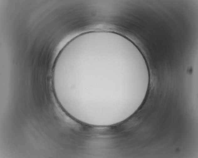 X0000112841486200909181701