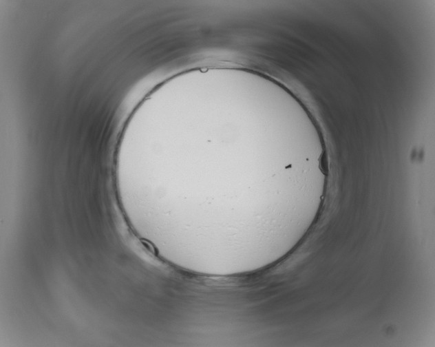 X0000112841488200909181701