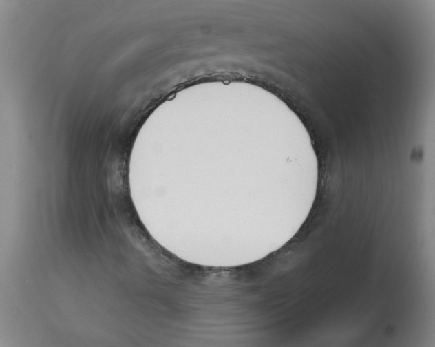 X0000112841490200909181700