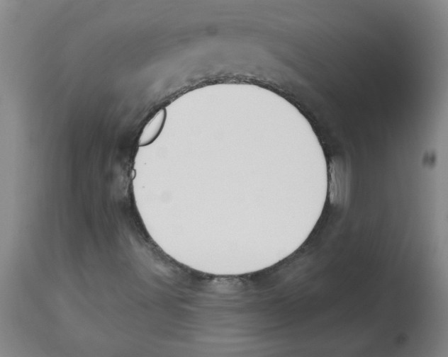 X0000112841491200909181700