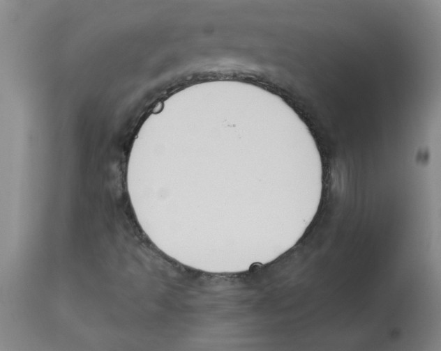 X0000112841493200909181700