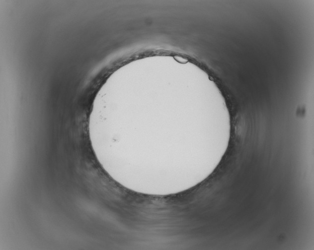 X0000112841495200909181700