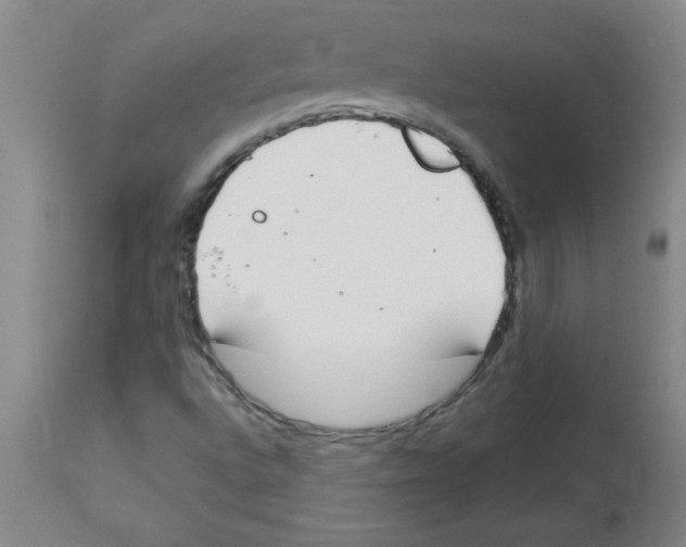 X0000112841496200909181700