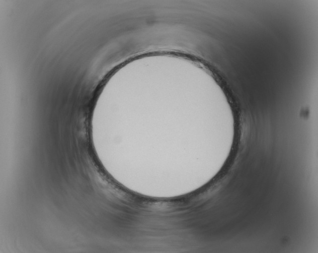 X0000112841497200909181700