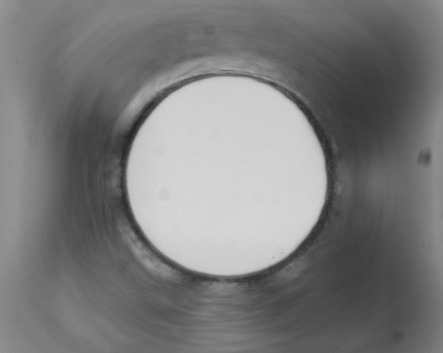 X0000112841499200909181701