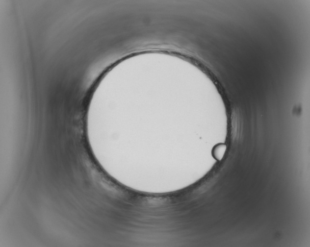 X0000112841501200909181701