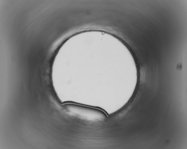 X0000112841502200909181701