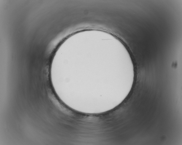 X0000112841503200909181701