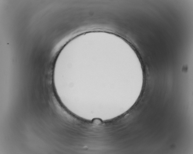 X0000112841504200909181701