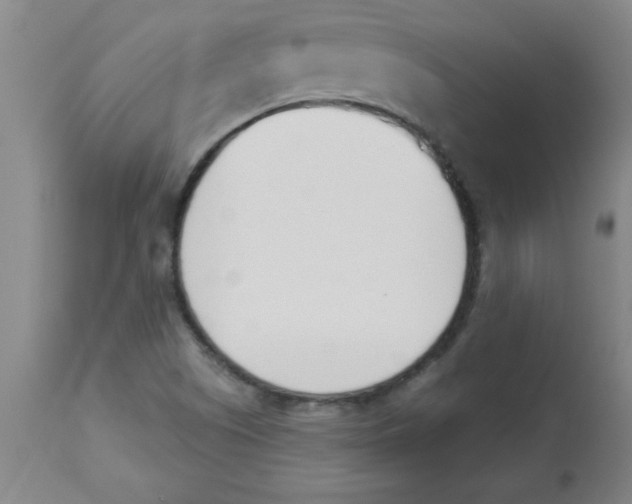 X0000112841505200909181701