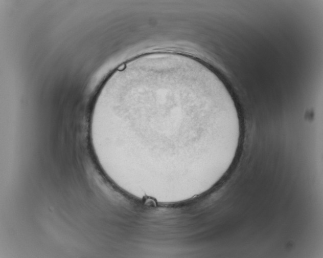 X0000112841506200909181701