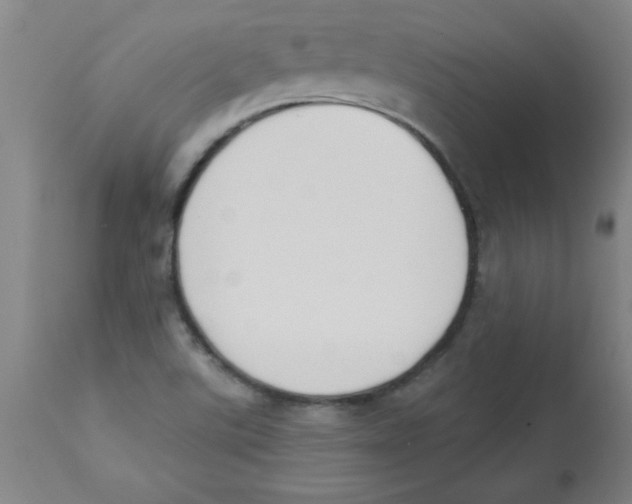 X0000112841507200909181701