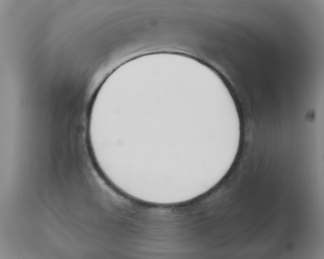 X0000112841508200909181701