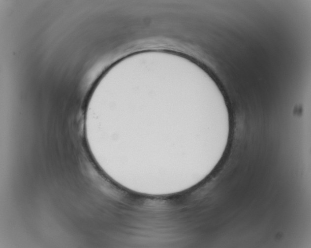 X0000112841509200909181701