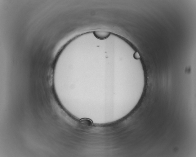 X0000112841510200909181701