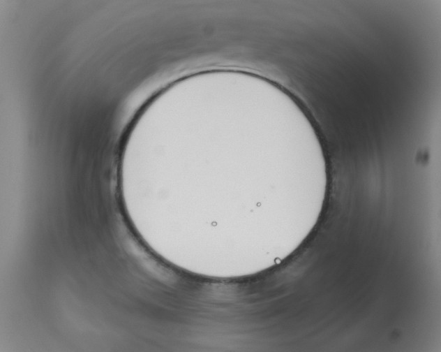 X0000112841511200909181701