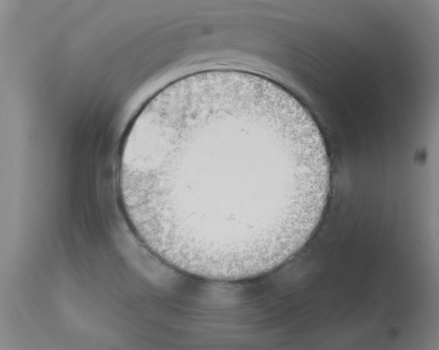 X0000112841514200909181701