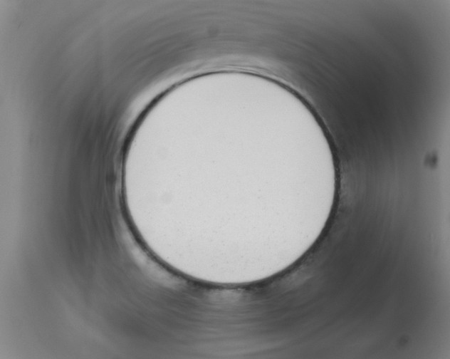 X0000112841515200909181701