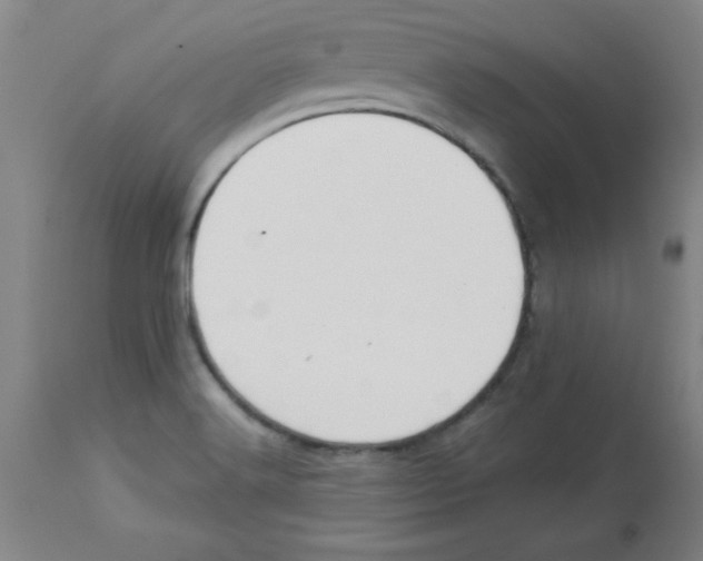 X0000112841516200909181701