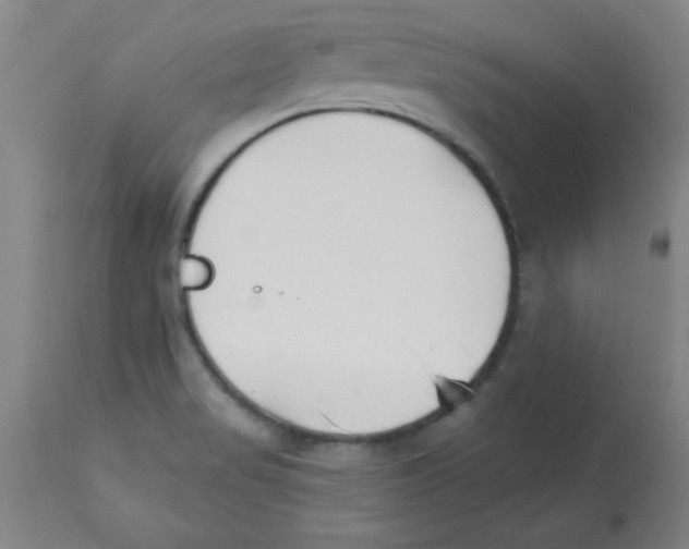 X0000112841517200909181701