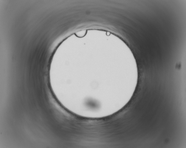 X0000112841518200909181701