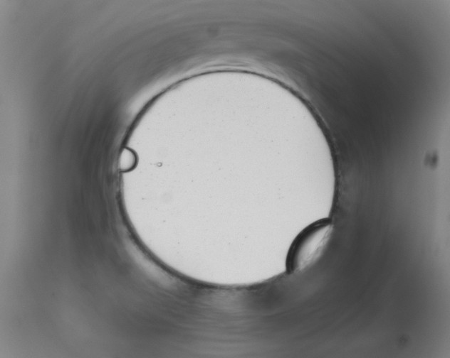 X0000112841519200909181701