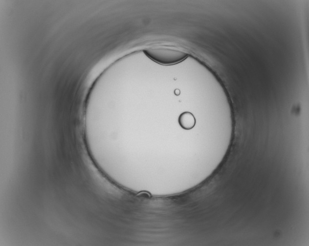 X0000112841520200909181701