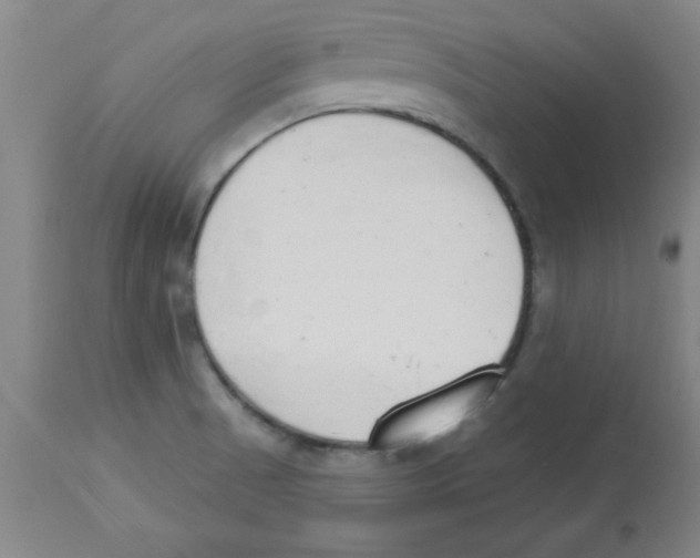 X0000112841521200909181701