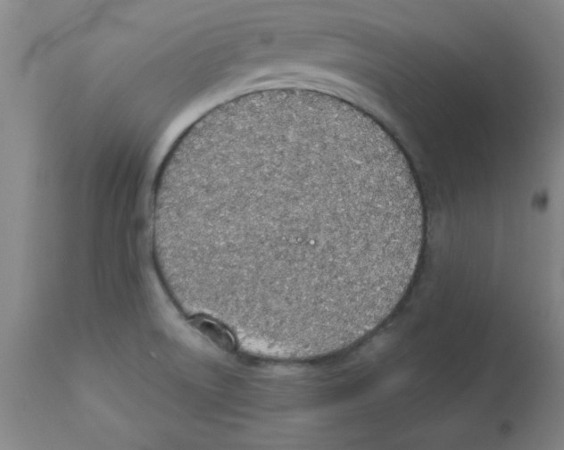 X0000112841522200909181701