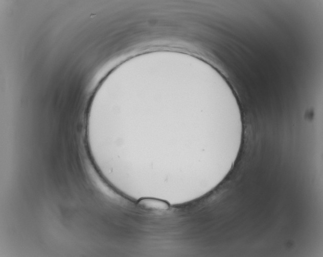 X0000112841523200909181701