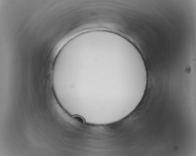 X0000112841524200909181701