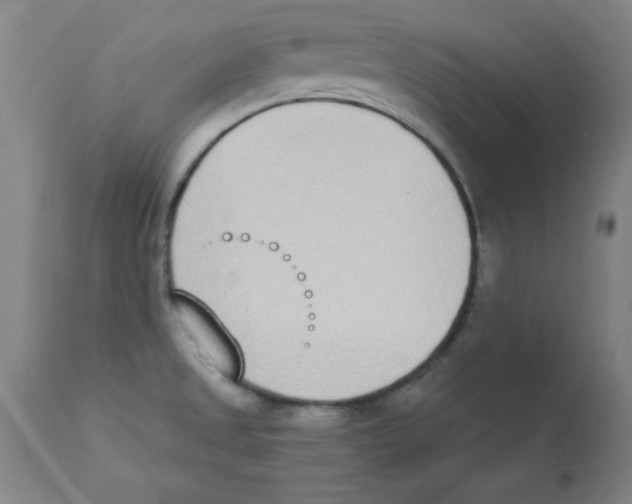 X0000112841525200909181701