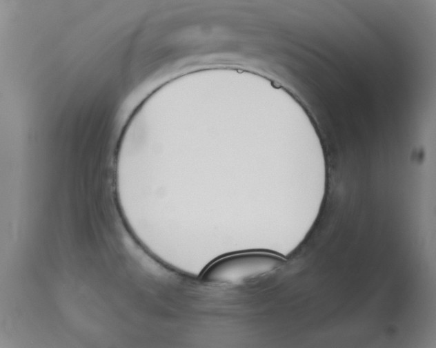 X0000112841527200909181701