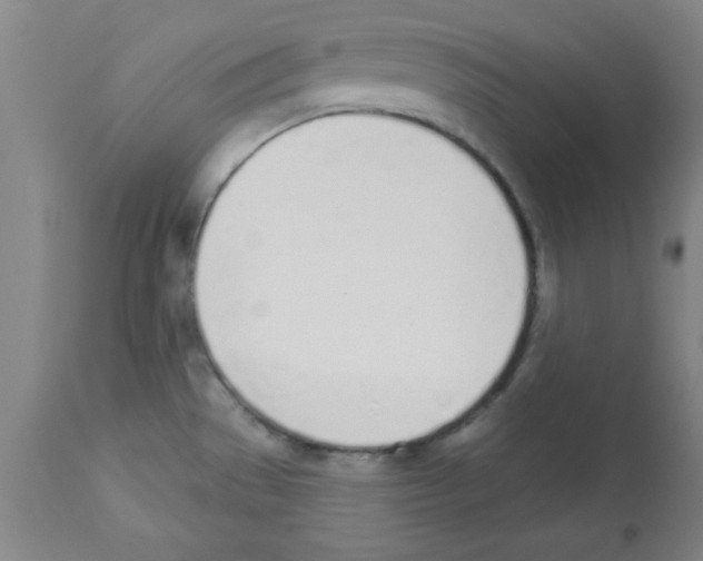 X0000112841529200909181701