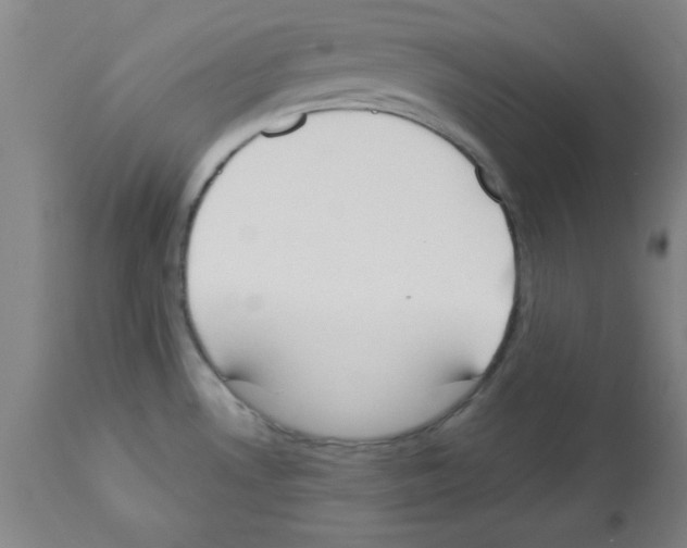 X0000112841530200909181701