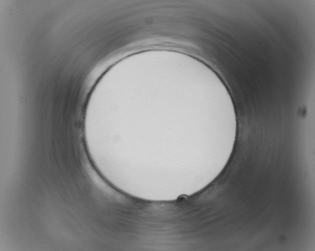 X0000112841531200909181701