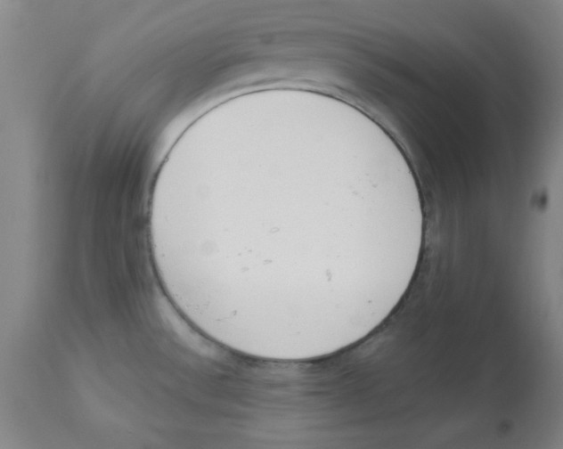 X0000112841532200909181701