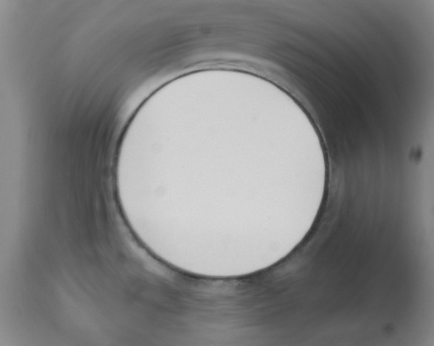 X0000112841533200909181701